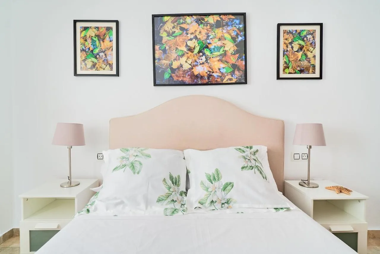 Apartamento 3 Dormitorios Centrico - Parking Incluido Malaga